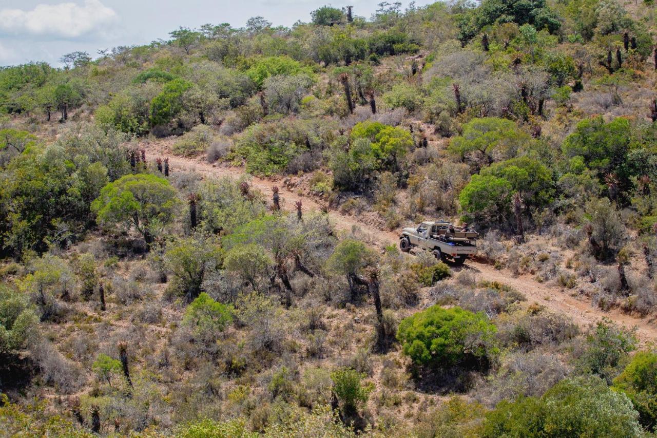 African Safari Lodge غراهامستاون المظهر الخارجي الصورة